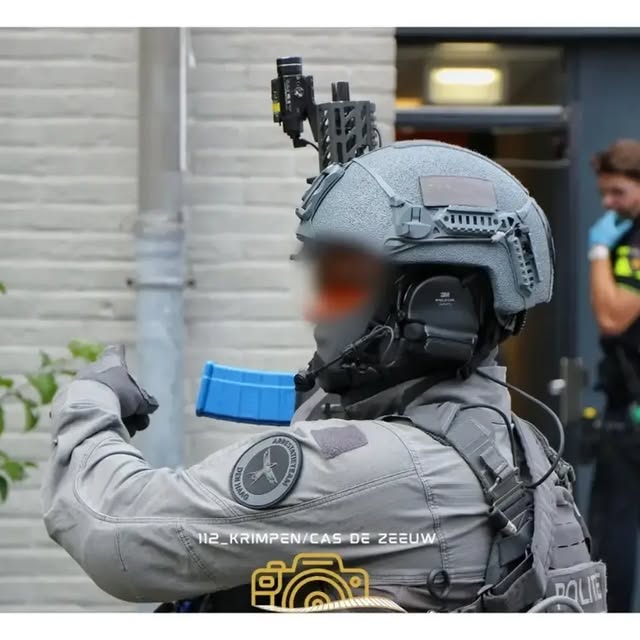 ........ieteamnl   'recent posts' 