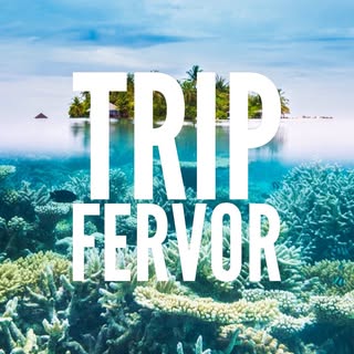 Hire .....ervor influencer with 2m