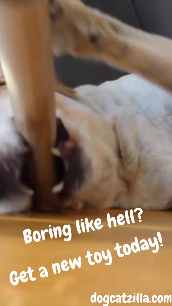  ......ral2.0  'recent videos' 