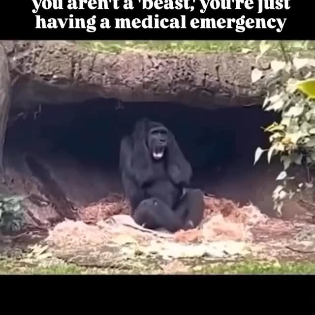  .......posting   'recent posts' 