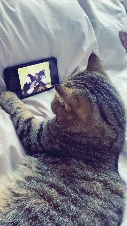  .......hecat10  'recent videos' 
