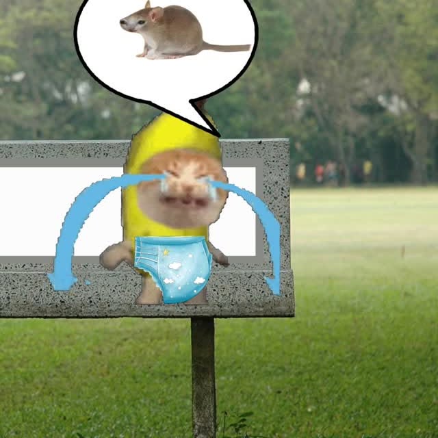  ......anacat   'recent posts' 