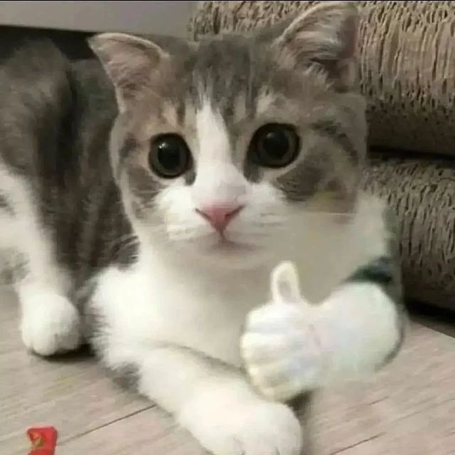  .....n__u1   'recent posts' 