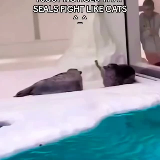  .....edoggo   'recent posts' 