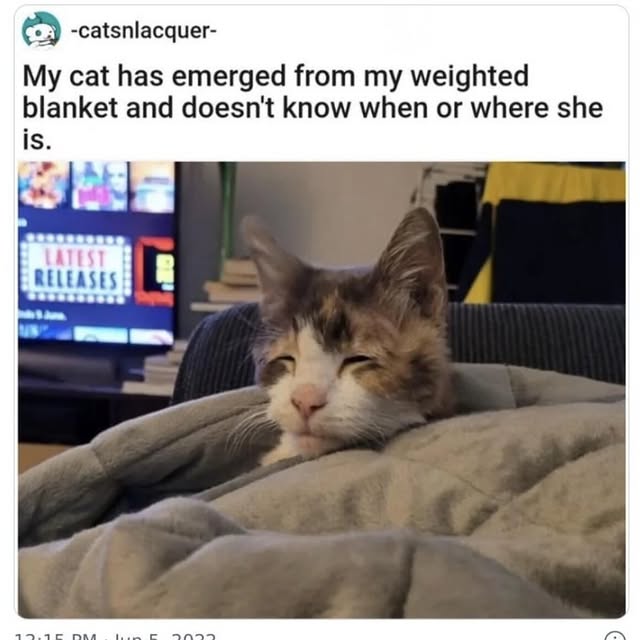  .....umors   'recent posts' 