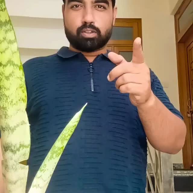  ............ession4ugirls   'recent posts' 