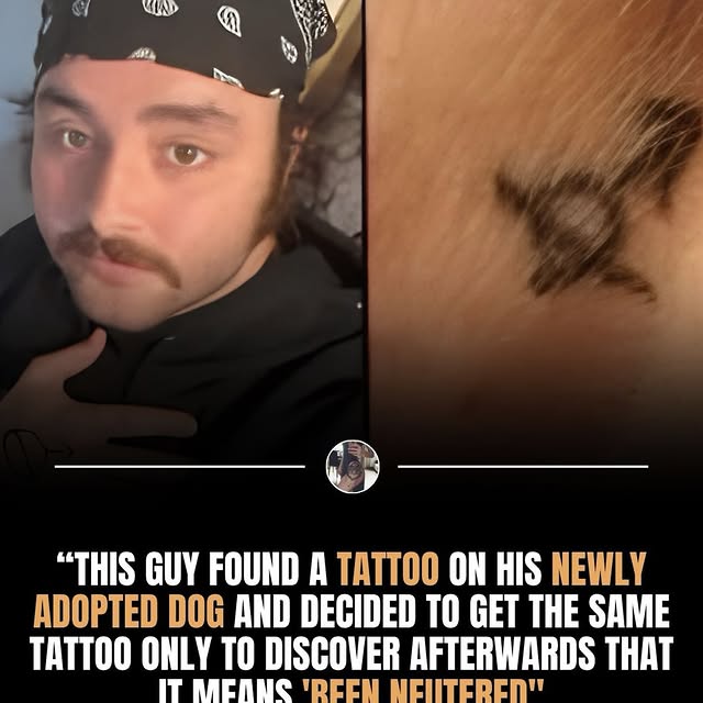  ........ngtattoos   'recent posts' 