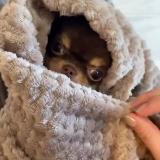  .......uapuppy   'recent posts' 