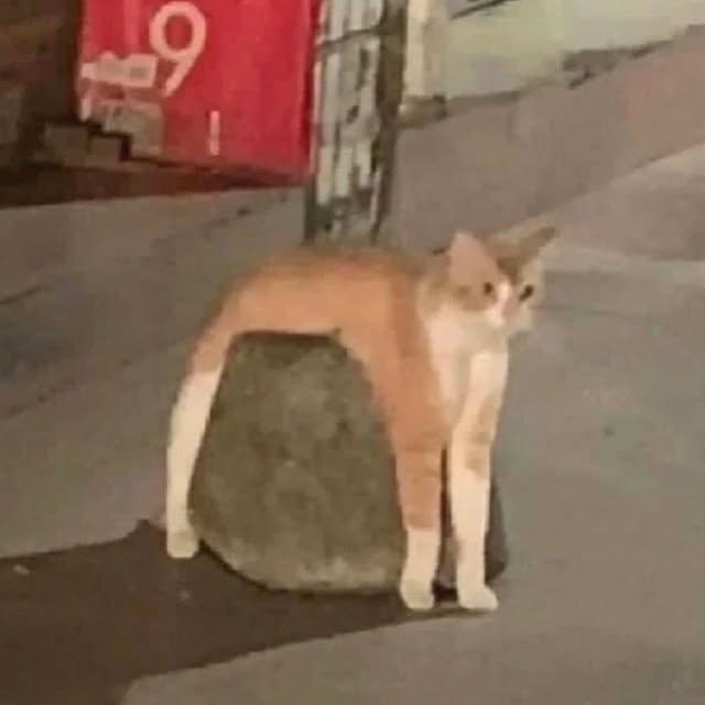  .......tie_cat   'recent posts' 