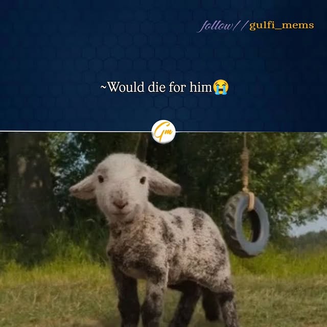  ....._memes   'recent posts' 