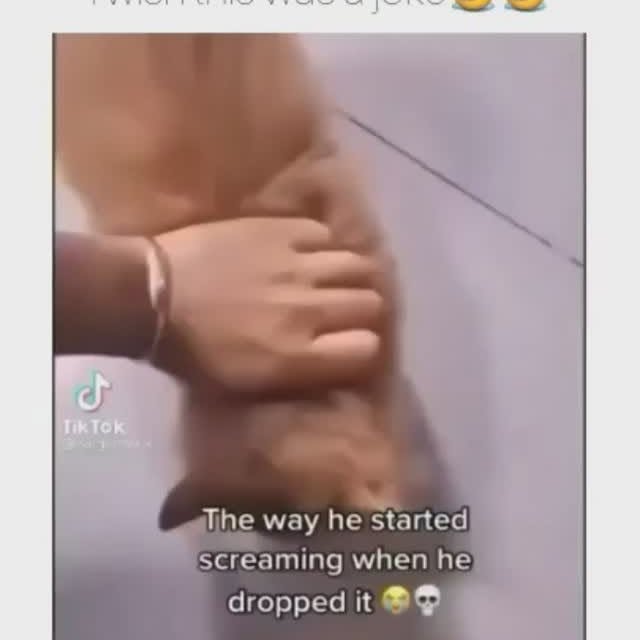  ........y_kittys   'recent posts' 