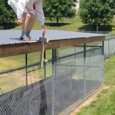  ......skating   'recent posts' 