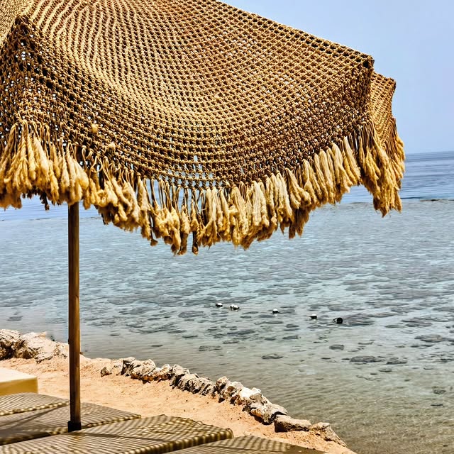  .......amanuli   'recent posts' 