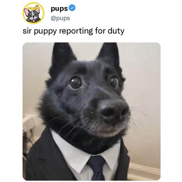  ..ps   'recent posts' 