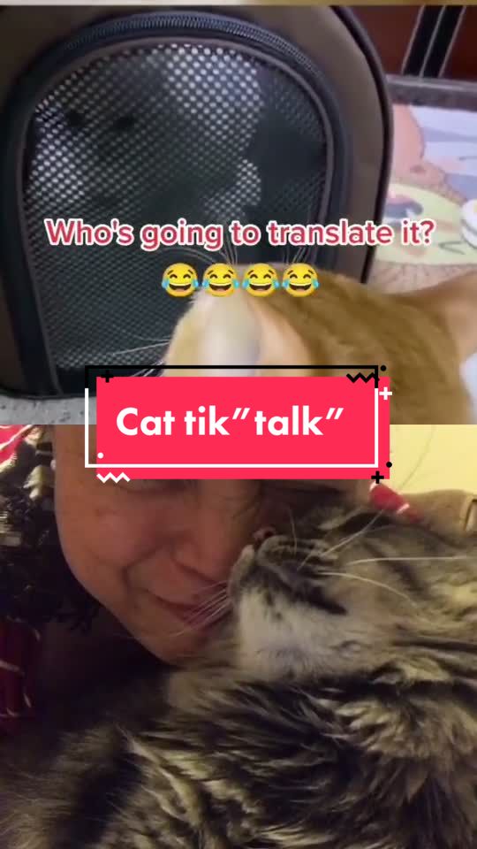  .......cat8mary  'recent videos' 