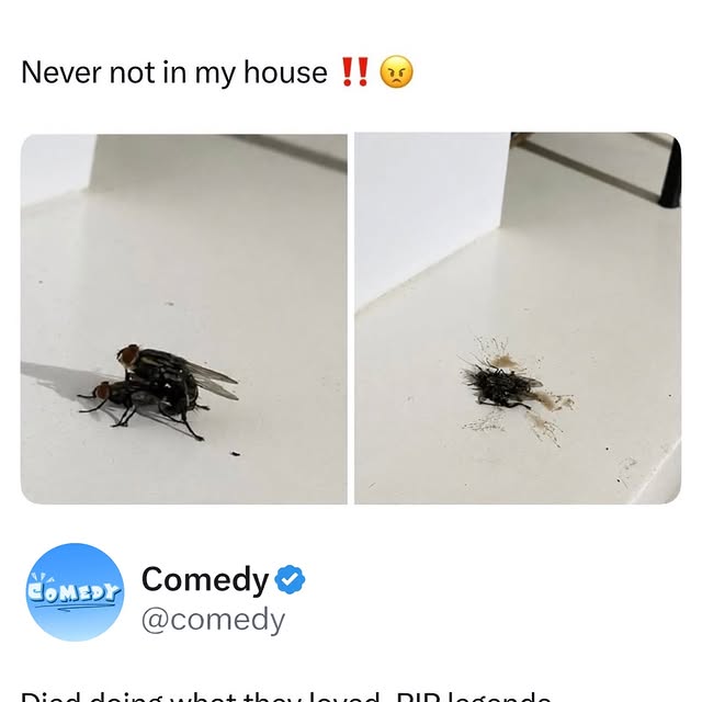  ...edy   'recent posts' 