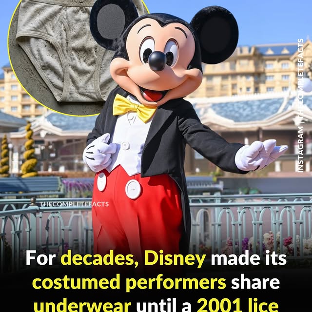 ........etefacts   'recent posts' 