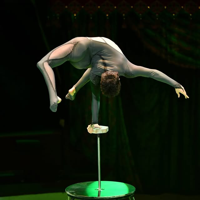  ........e_cirque   'recent posts' 