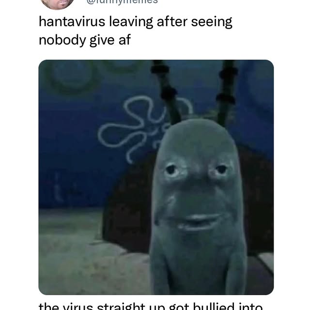  .....memes   'recent posts' 