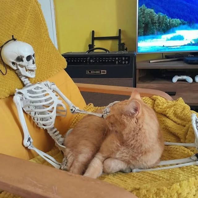  .......tie_cat   'recent posts' 