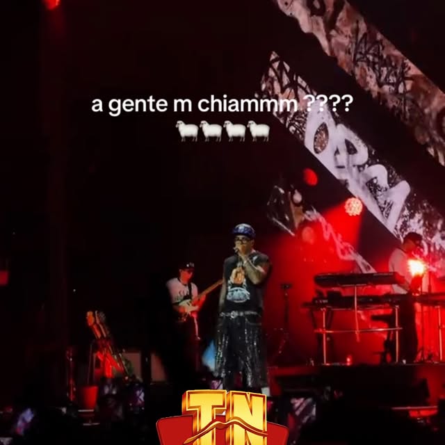  ........oletano_   'recent posts' 