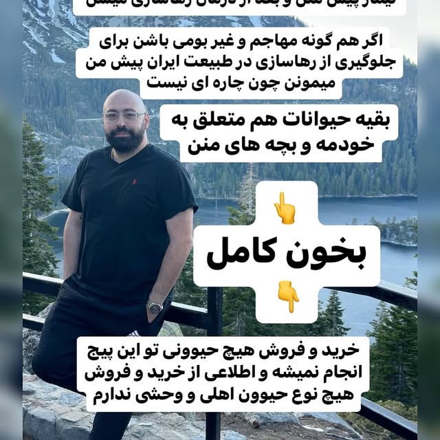  .........lavanzadeh   'recent posts' 