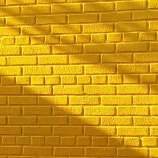 Hire .........tthiswall influencer with 1.9m