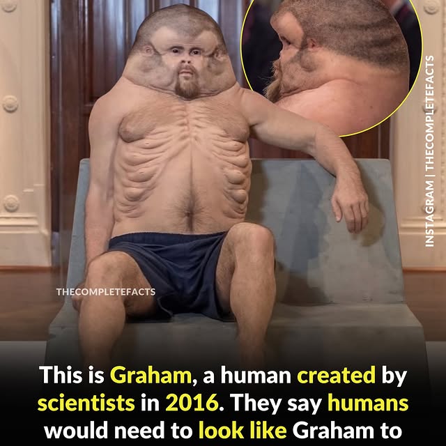  ........etefacts   'recent posts' 