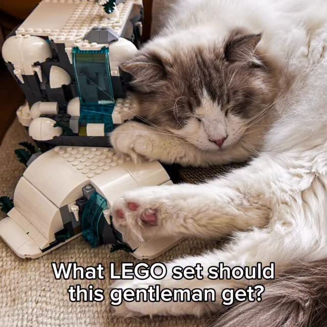  ........eOnBricks   'recent posts' 