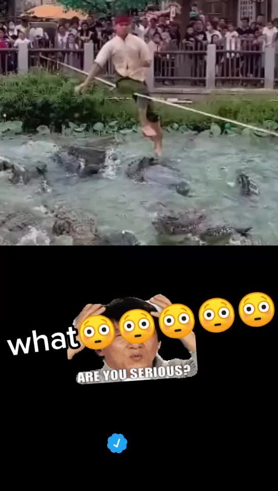  ......molosi  'recent videos' 
