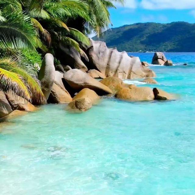  ......alpalms   'recent posts' 