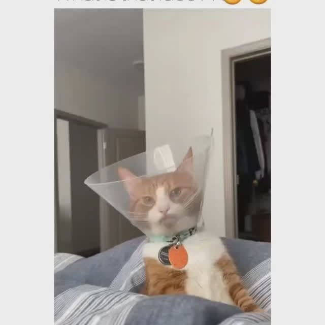  ........y_kittys   'recent posts' 