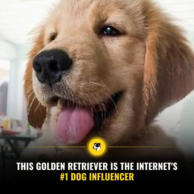  ......rposts   'recent posts' 