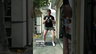  ....... Schmidt  'recent videos' 
