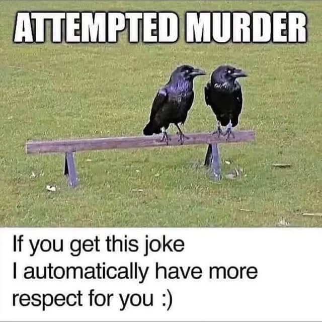 .....edoggo   'recent posts' 