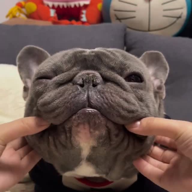  ..........ldogs_only   'recent posts' 