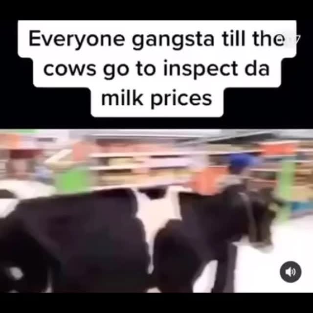  .....edoggo   'recent posts' 
