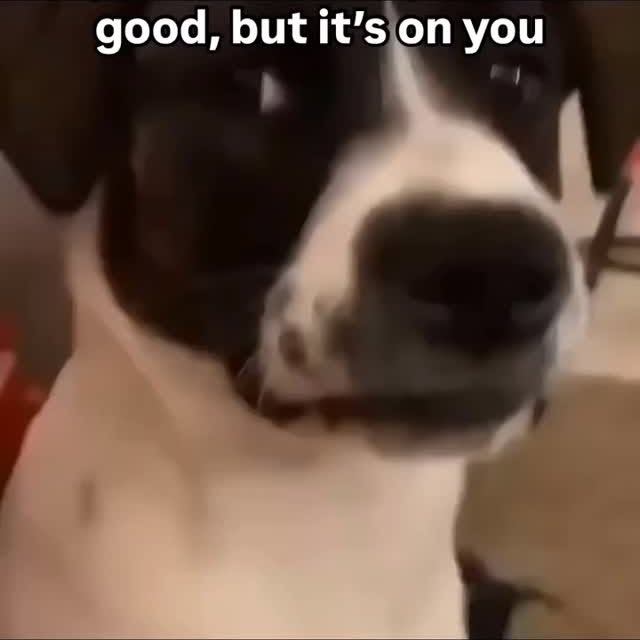  .....edoggo   'recent posts' 