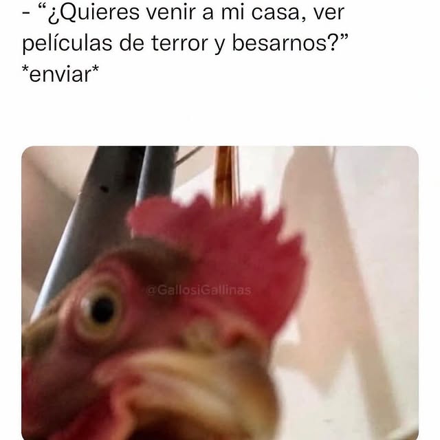  .....nanzis   'recent posts' 
