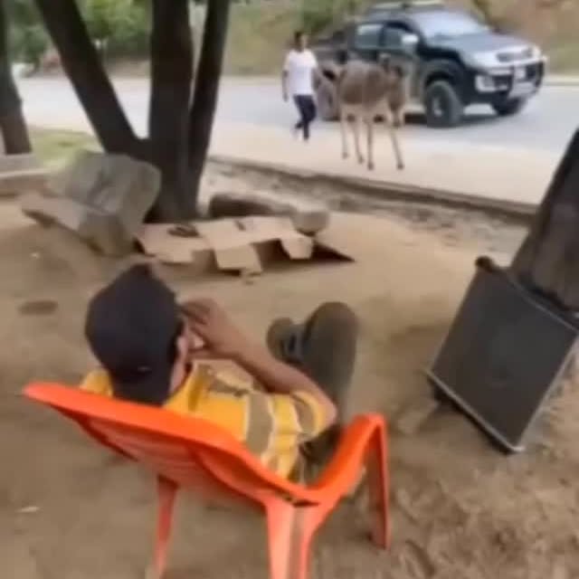  .....edoggo   'recent posts' 