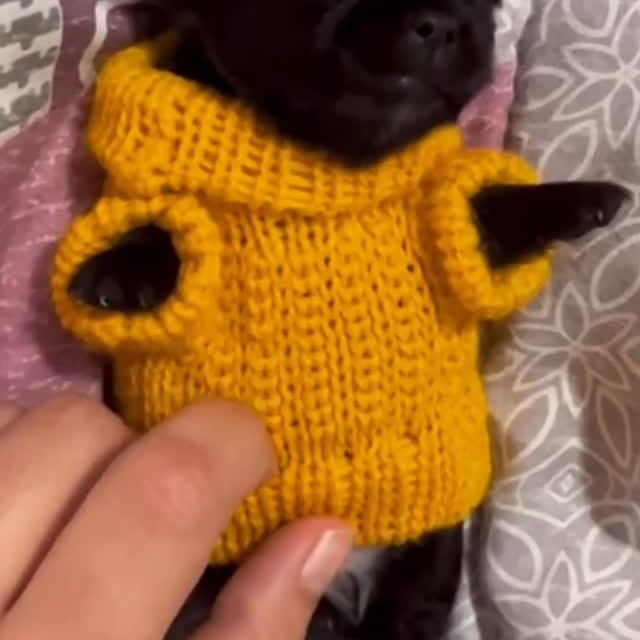  .......uapuppy   'recent posts' 