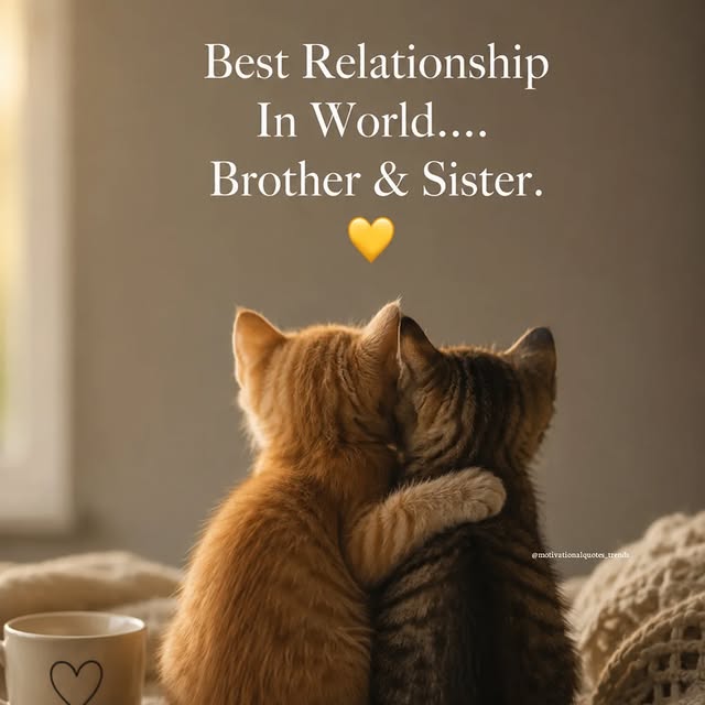  ............quotes_trends   'recent posts' 