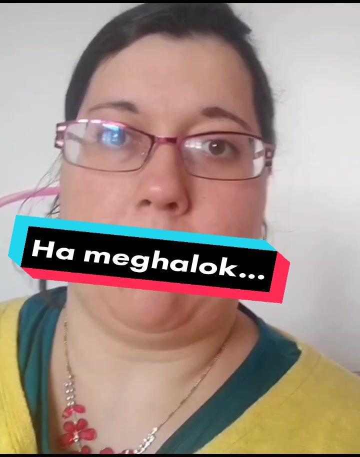  .......tiktokon  'recent videos' 