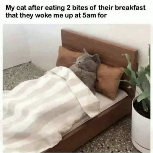  .......tie_cat   'recent posts' 
