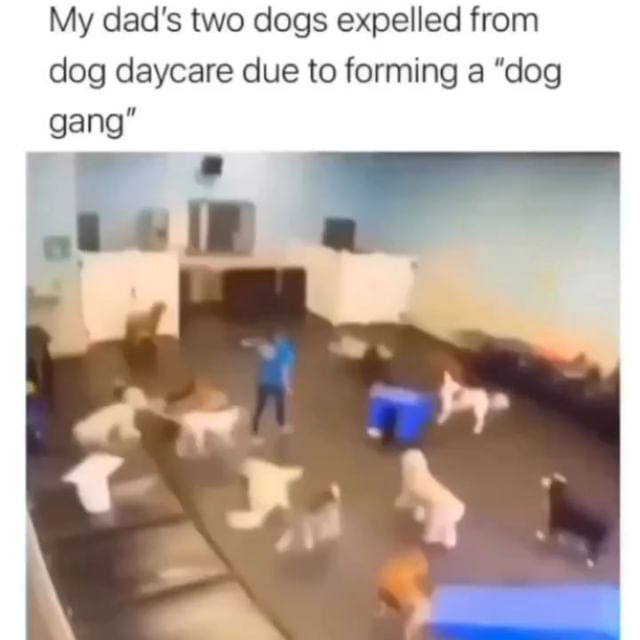  .....ardwag   'recent posts' 