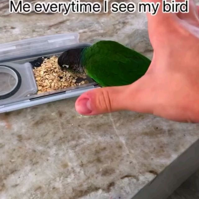  ......sloveig   'recent posts' 
