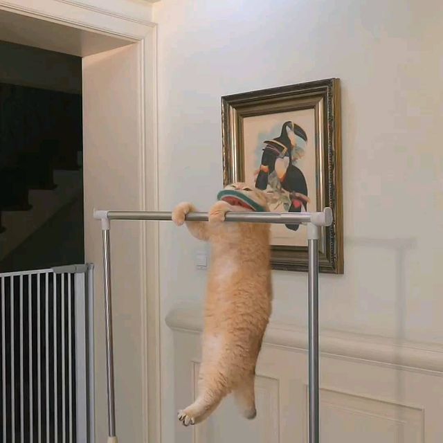 .....n__u1   'recent posts' 