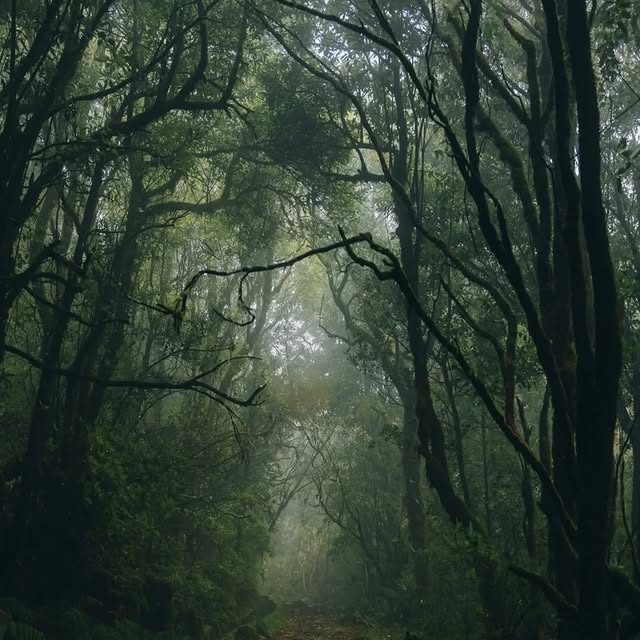  .......dbyfolk   'recent posts' 