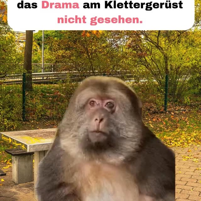  ........en.memes   'recent posts' 