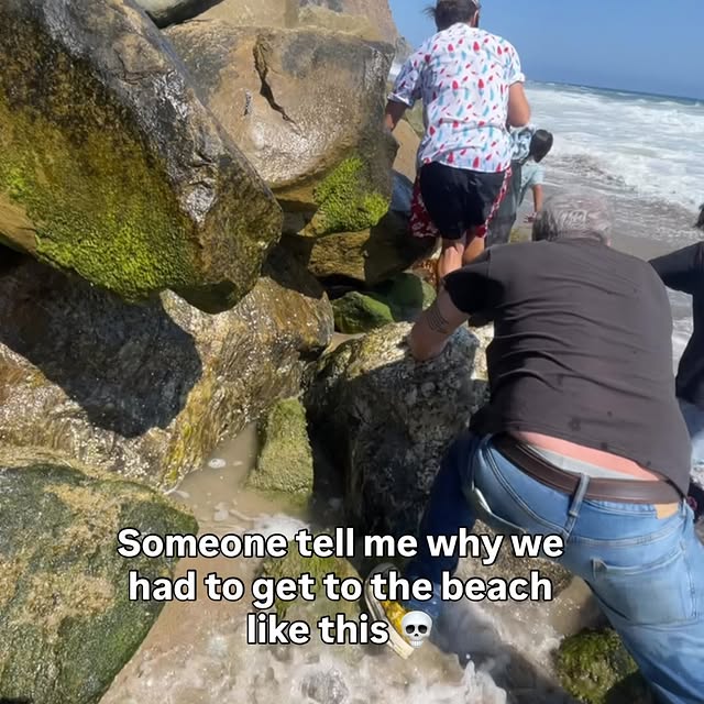  .........nofnomads   'recent posts' 